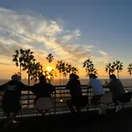 Stay Open Venice Beach